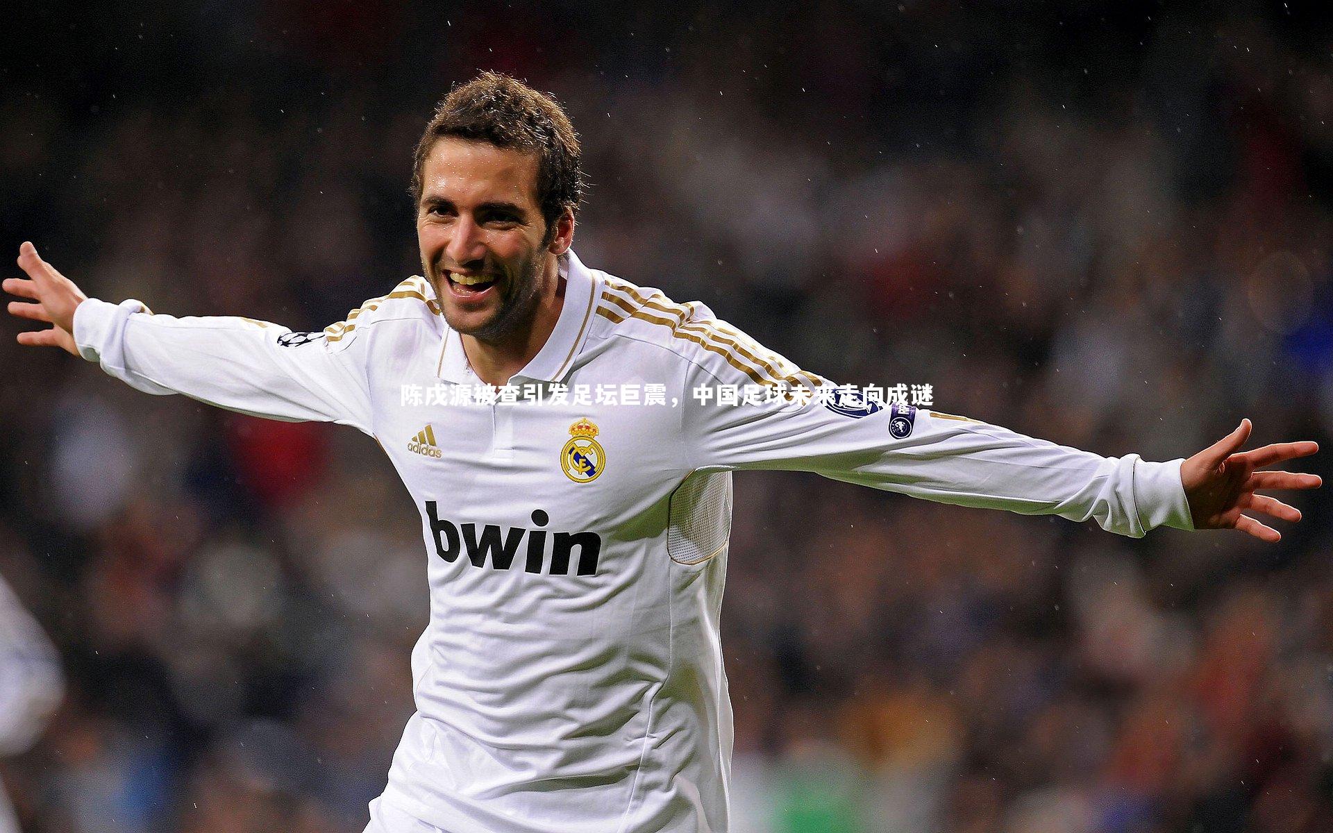 陈戌源被查引发足坛巨震,中国足球未来走向成谜